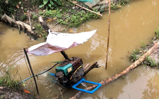 Tiền Giang: Diện tích cây ăn trái tăng vọt và vấn đề hạ tầng điện phục vụ bơm tưới (13/12/2022)